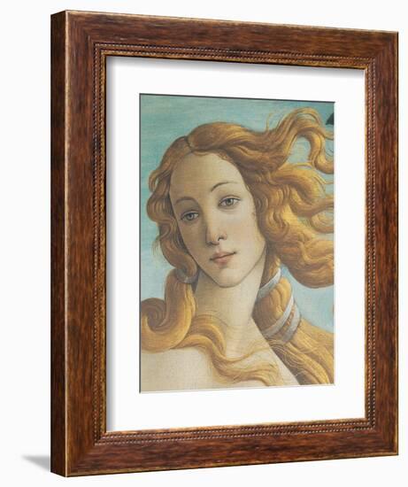 The Birth of Venus-Sandro Botticelli-Framed Premium Giclee Print