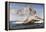 The Birth of Venus-Alexandre Cabanel-Framed Premier Image Canvas