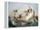 The Birth of Venus-Henri Pierre Picou-Framed Premier Image Canvas