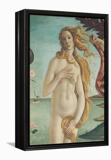 The Birth of Venus-Sandro Botticelli-Framed Premier Image Canvas