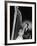 The Bishop's Wife, 1947-null-Framed Photographic Print