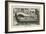 The Black Barget-Henry Justice Ford-Framed Giclee Print