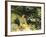 The Black Brook-John Singer Sargent-Framed Giclee Print