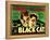 The Black Cat, Boris Karloff, Bela Lugosi, 1934-null-Framed Stretched Canvas