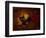 the black cat-Rabi Khan-Framed Art Print