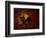 the black cat-Rabi Khan-Framed Art Print