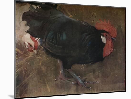 'The Black Cock', c1894-Joseph Crawhall-Mounted Giclee Print