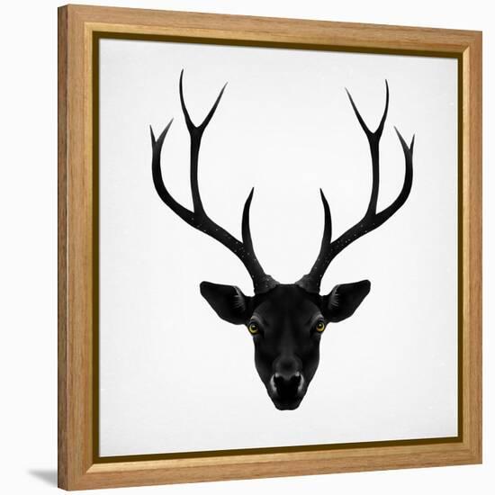 The Black Deer-Ruben Ireland-Framed Stretched Canvas