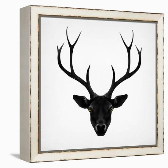 The Black Deer-Ruben Ireland-Framed Stretched Canvas