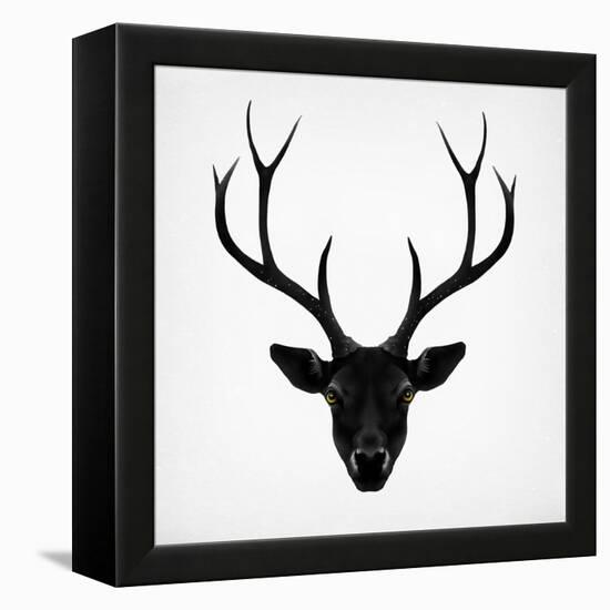 The Black Deer-Ruben Ireland-Framed Stretched Canvas