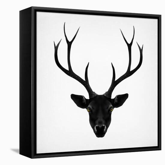 The Black Deer-Ruben Ireland-Framed Stretched Canvas