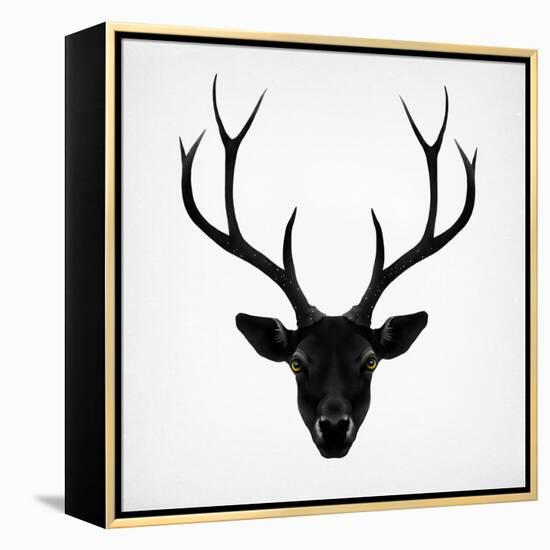 The Black Deer-Ruben Ireland-Framed Stretched Canvas