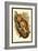 The Black-Eared Mouse Lemur-Sir William Jardine-Framed Art Print