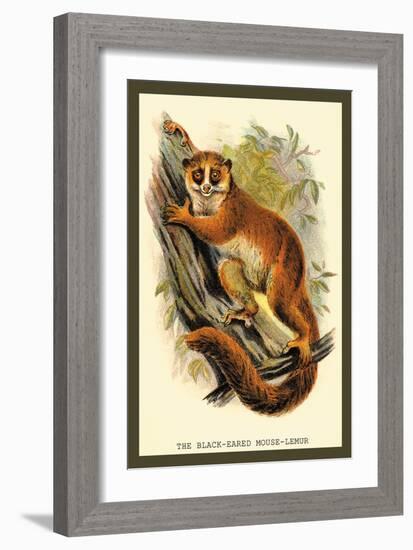 The Black-Eared Mouse Lemur-Sir William Jardine-Framed Art Print