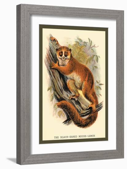 The Black-Eared Mouse Lemur-Sir William Jardine-Framed Art Print