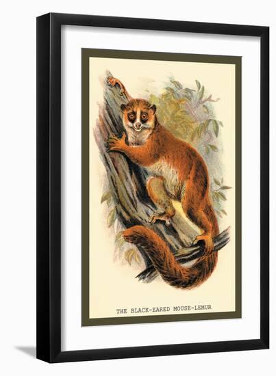 The Black-Eared Mouse Lemur-Sir William Jardine-Framed Art Print