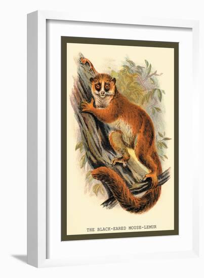 The Black-Eared Mouse Lemur-Sir William Jardine-Framed Art Print