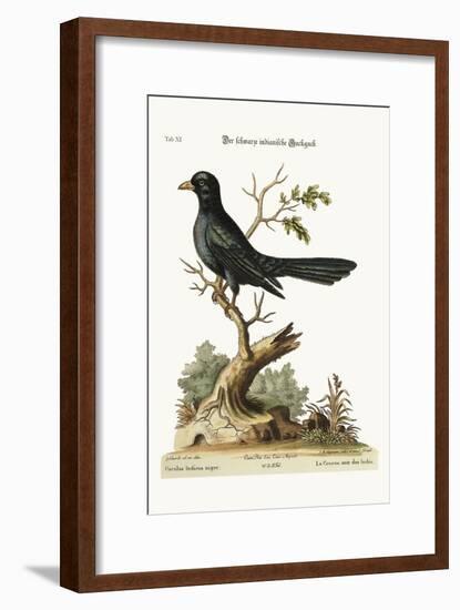 The Black Indian Cuckow, 1749-73-George Edwards-Framed Giclee Print