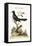 The Black Indian Cuckow, 1749-73-George Edwards-Framed Premier Image Canvas