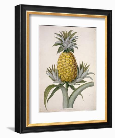 The Black Jamaican-Porter Design-Framed Premium Giclee Print