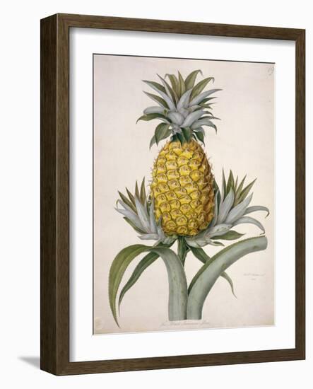 The Black Jamaican-Porter Design-Framed Giclee Print