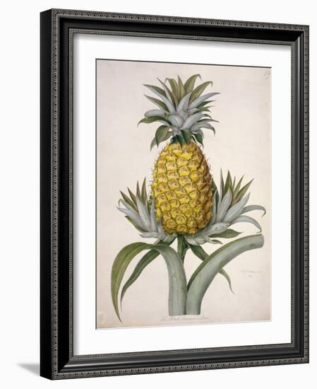 The Black Jamaican-Porter Design-Framed Giclee Print