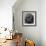 The Black Kitten-John Tenniel-Framed Giclee Print displayed on a wall