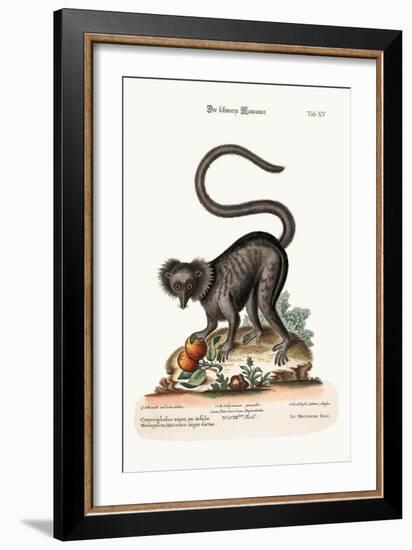 The Black Maucauco, 1749-73-George Edwards-Framed Giclee Print