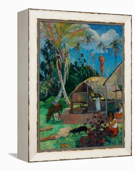 The Black Pigs-Paul Gauguin-Framed Premier Image Canvas