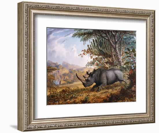 The Black Rhinoceros Charging-Thomas Baines-Framed Photographic Print