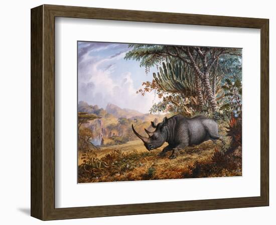 The Black Rhinoceros Charging-Thomas Baines-Framed Photographic Print