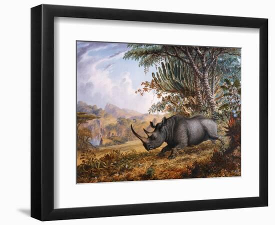 The Black Rhinoceros Charging-Thomas Baines-Framed Photographic Print