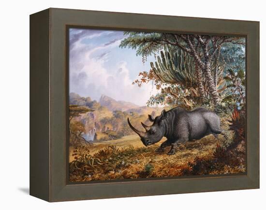 The Black Rhinoceros Charging-Thomas Baines-Framed Premier Image Canvas