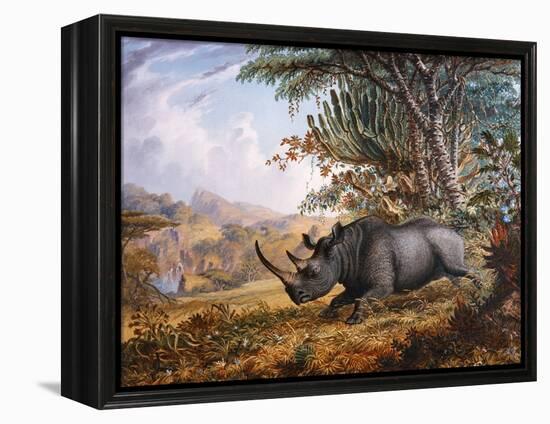 The Black Rhinoceros Charging-Thomas Baines-Framed Premier Image Canvas