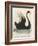 The Black Swan of New South Wales-Harrison Cluse-Framed Photographic Print