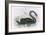 The Black Swan-John Gould-Framed Giclee Print