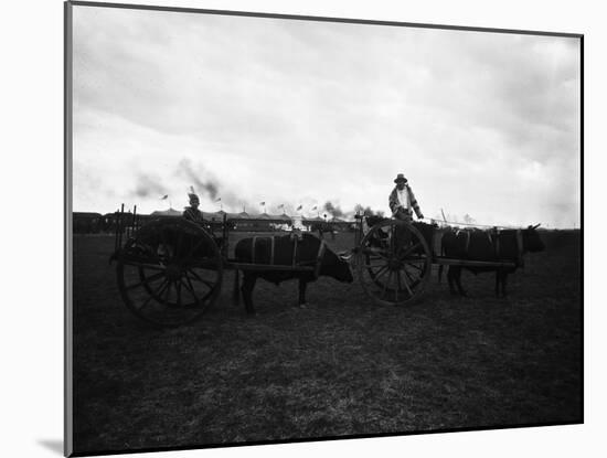 The Blackfeet Indians-null-Mounted Photographic Print