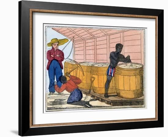 The Blackman's Lament on How to Make Sugar, 1813-Amelia Alderson Opie-Framed Giclee Print