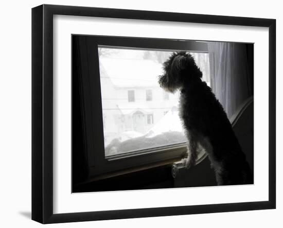 The Blizzard-Nance Trueworthy-Framed Photographic Print