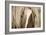 The Blonde-Lisa Dearing-Framed Photographic Print