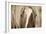 The Blonde-Lisa Dearing-Framed Photographic Print