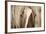 The Blonde-Lisa Dearing-Framed Photographic Print