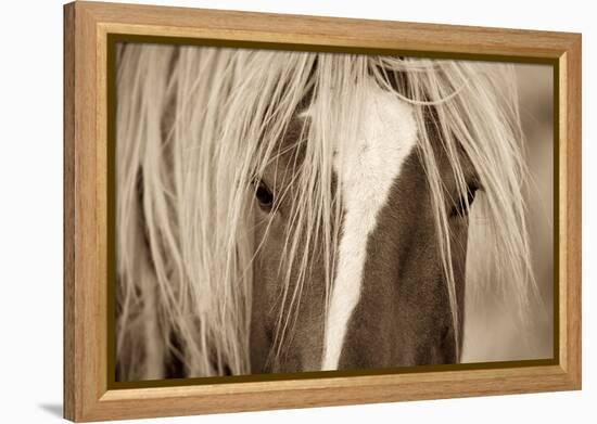 The Blonde-Lisa Dearing-Framed Premier Image Canvas