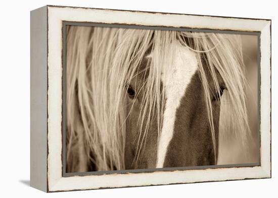 The Blonde-Lisa Dearing-Framed Premier Image Canvas