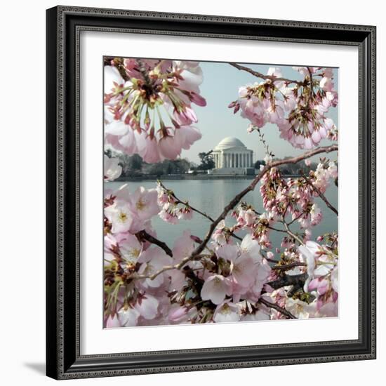 The Blossoms are Almost in Full Bloom on the Cherry Trees-null-Framed Photographic Print