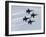 The Blue Angels-Stocktrek Images-Framed Photographic Print