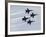 The Blue Angels-Stocktrek Images-Framed Photographic Print