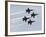 The Blue Angels-Stocktrek Images-Framed Photographic Print