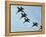 The Blue Angels-Stocktrek Images-Framed Premier Image Canvas