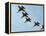 The Blue Angels-Stocktrek Images-Framed Premier Image Canvas